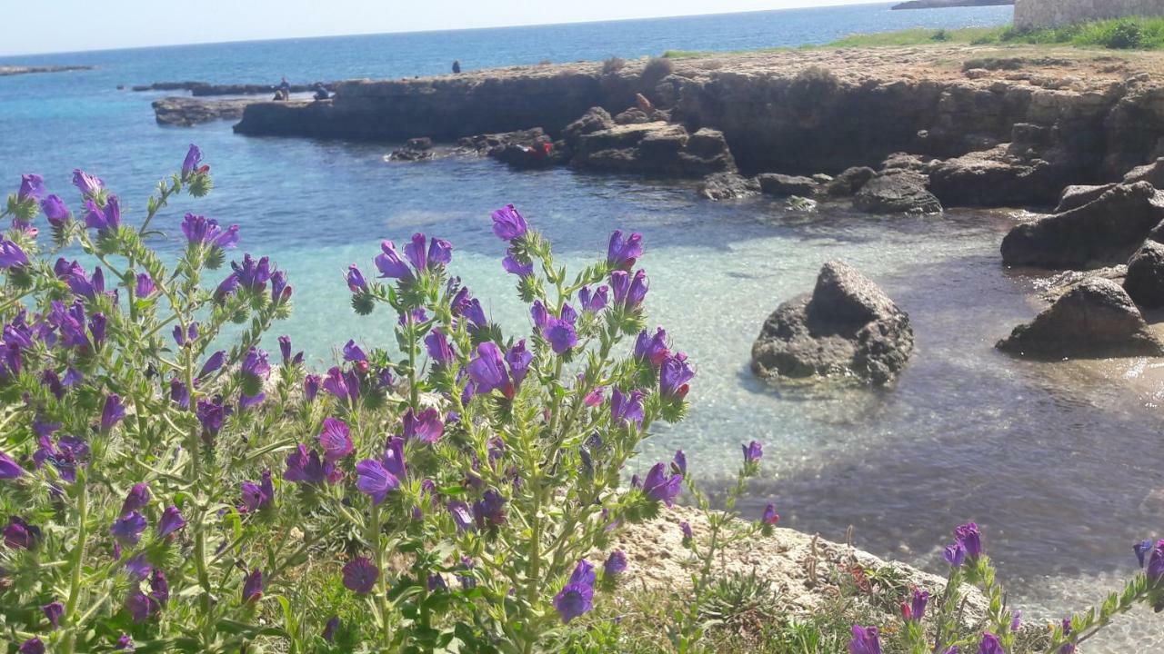 "Suliscenti" Dimora Siciliana B&B Авола Екстериор снимка